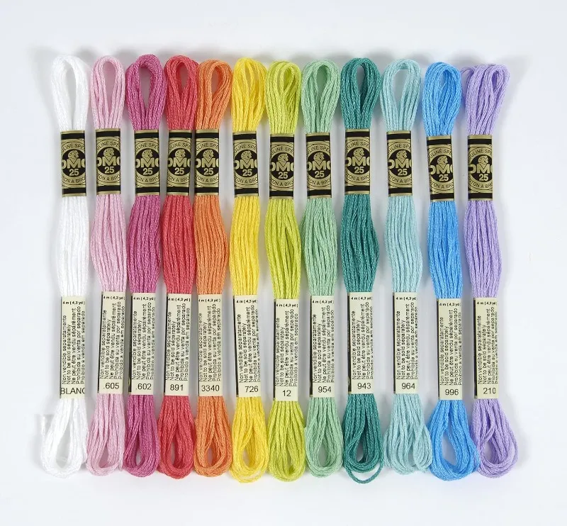 DMC - Assortiment de fils mouliné Spécial 117MC - Coloris Vitamines (24 échevettes)